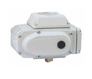 ����չʾ늄�(d��ng)��(zh��)������(sh��)�ĈD,׌�͑���ֱ�^���˽��҂��Įa(ch��n)Ʒ!